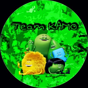 Team KAMO